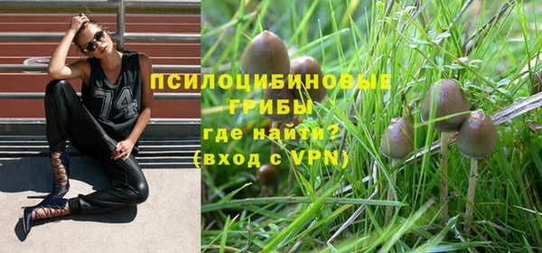 ALPHA PVP Саяногорск