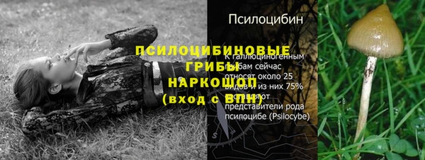 гашиш Сатка
