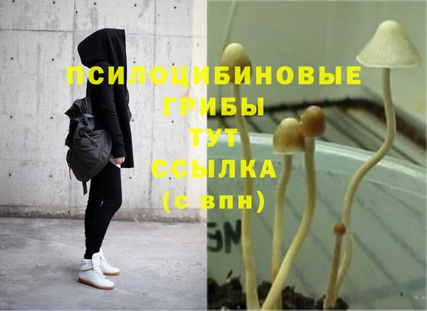 гашиш Сатка