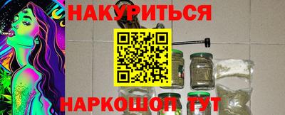 дмт Гай