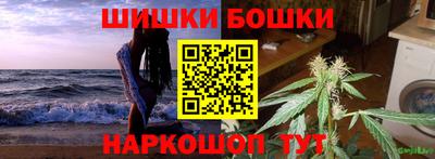 дмт Гай
