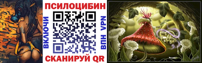 Псилоцибиновые грибы Psilocybe  Димитровград 