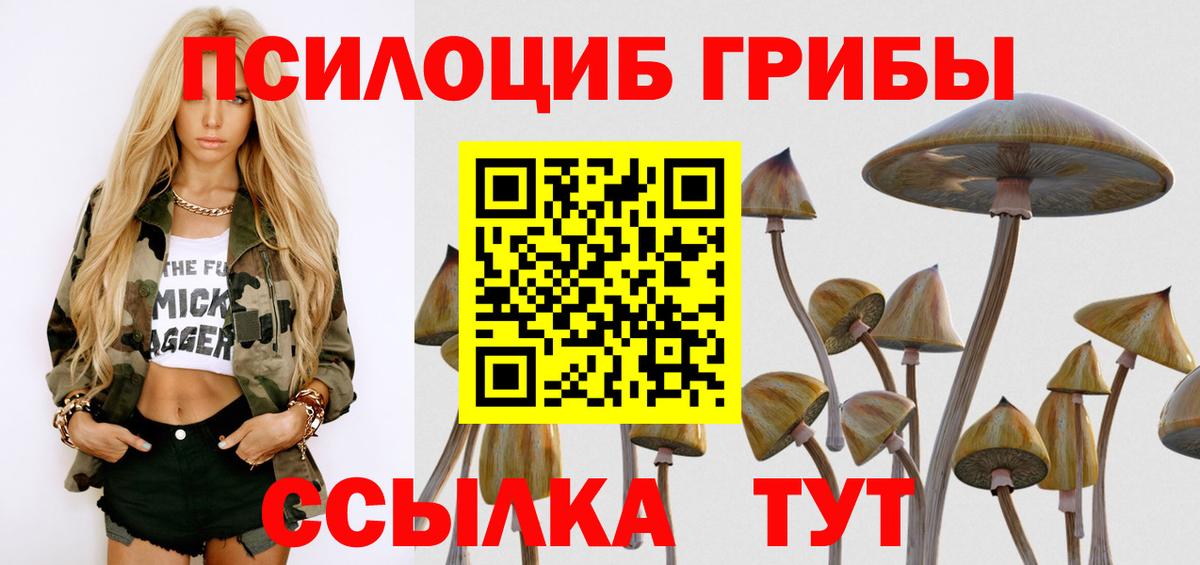 Димитровград  Псилоцибиновые грибы мицелий  Галлюциногенные грибы прущие грибы  Вход с VPN 