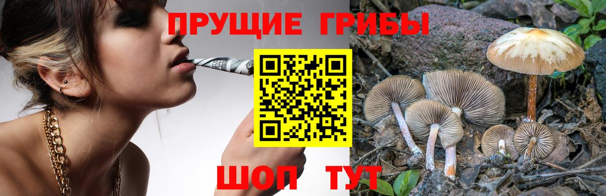 Псилоцибиновые грибы мухоморы Димитровград
