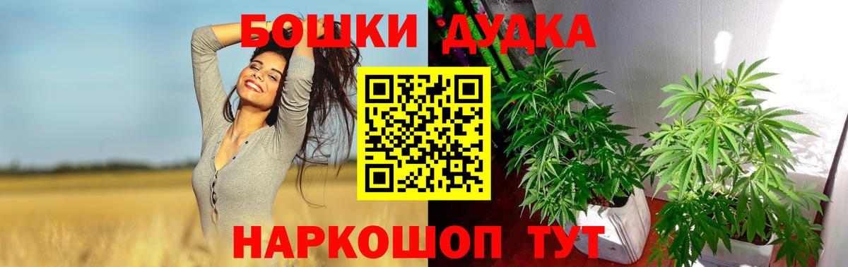 Димитровград  Бошки марихуана планчик  Бошки марихуана Bruce Banner  Шишки марихуана тримм  Вход с VPN 